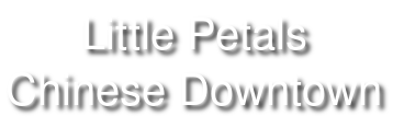 Little Petals logo